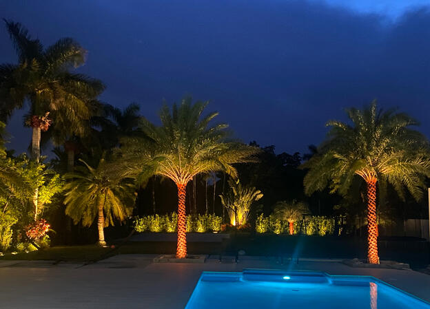 Backyard Backyard