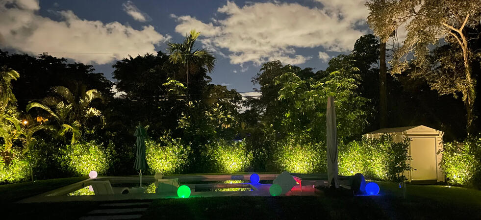Well lights on hedges Well lights on hedges